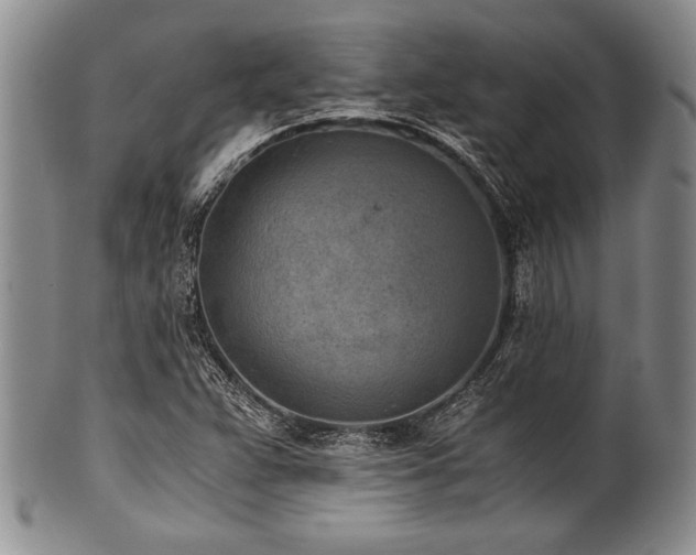 X0000101111359200806261403
