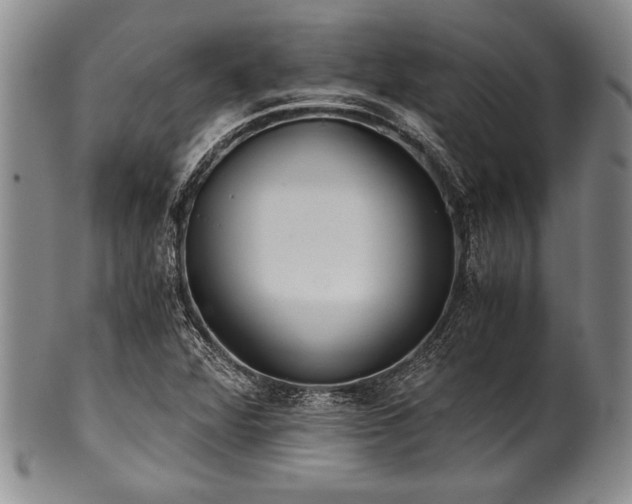 X0000101111360200806261402