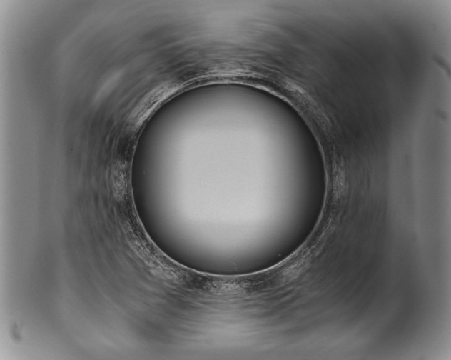 X0000101111361200806261402