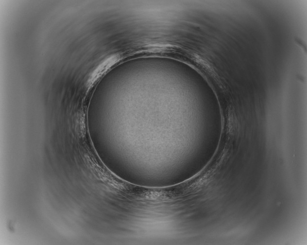 X0000101111362200806261402