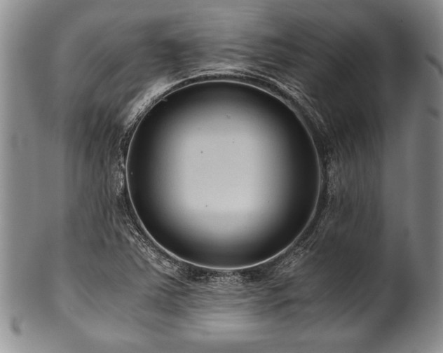 X0000101111363200806261402