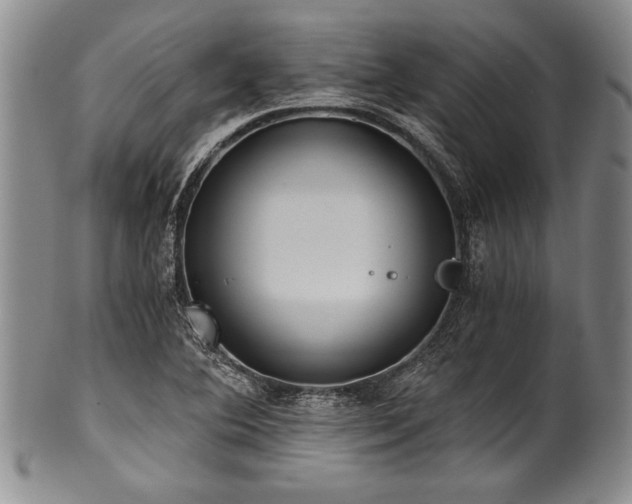 X0000101111364200806261402