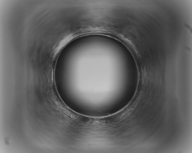 X0000101111365200806261402