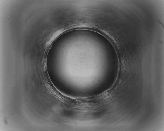 X0000101111367200806261402