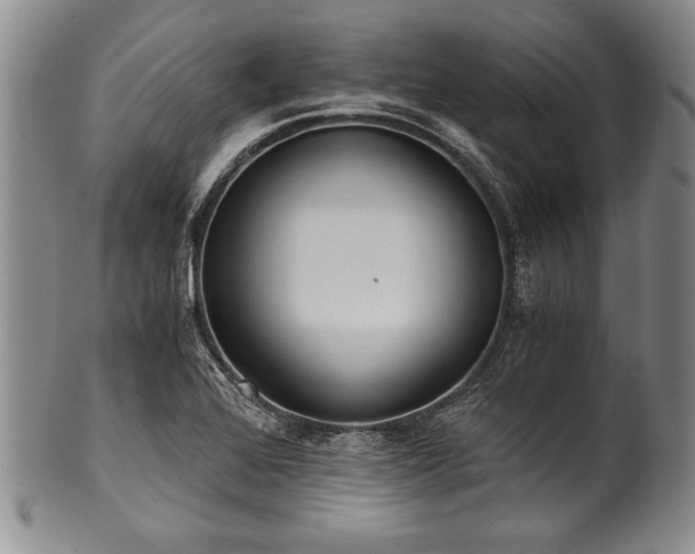 X0000101111368200806261402