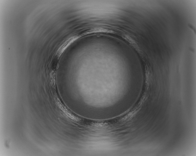 X0000101111369200806261402