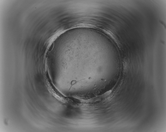 X0000101111371200806261402