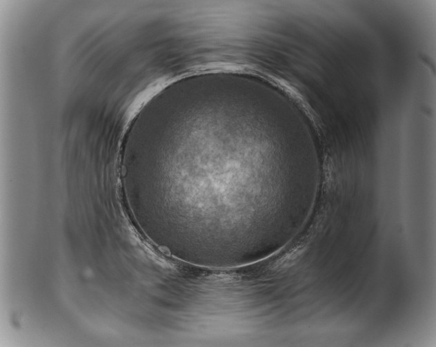 X0000101111373200806261402