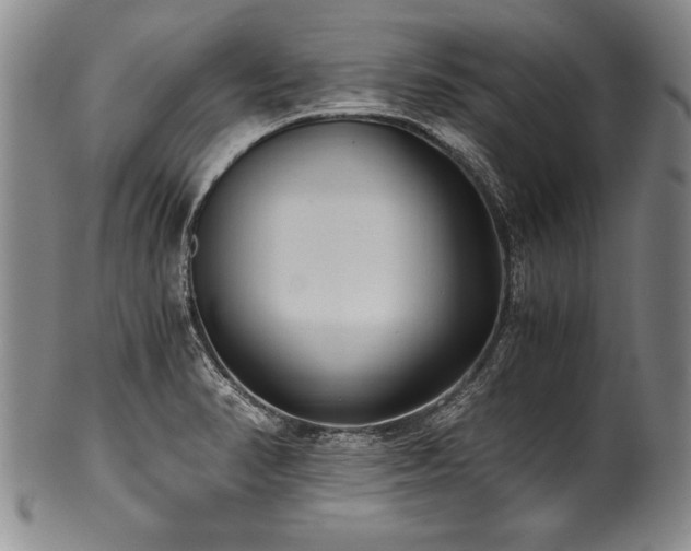 X0000101111374200806261402