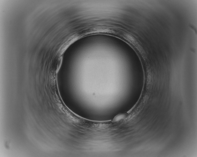 X0000101111377200806261402