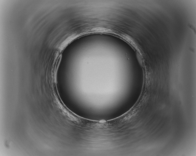 X0000101111381200806261402