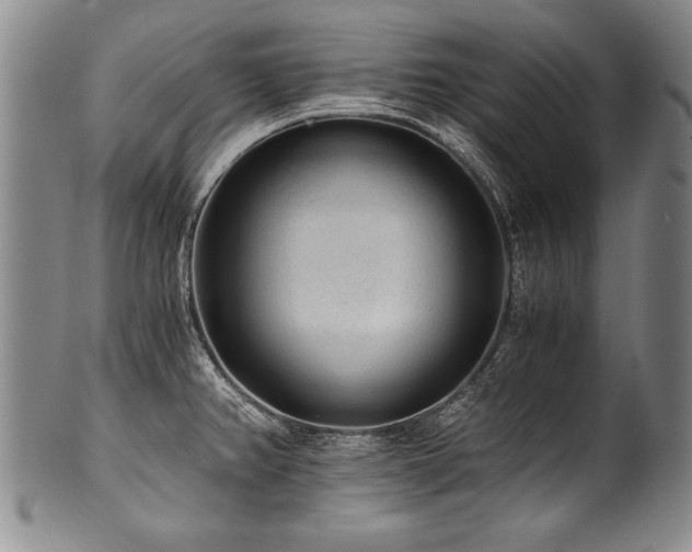 X0000101111382200806261402