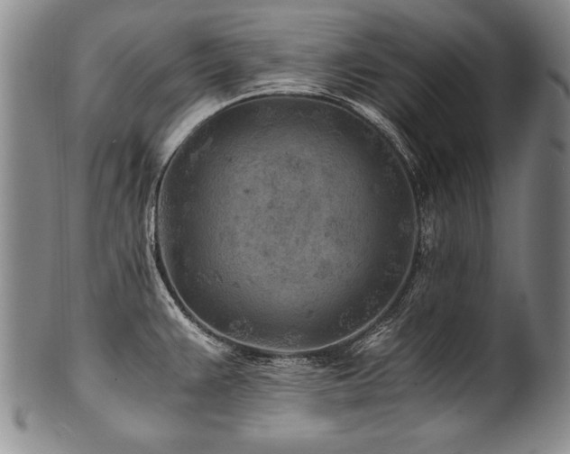 X0000101111383200806261402