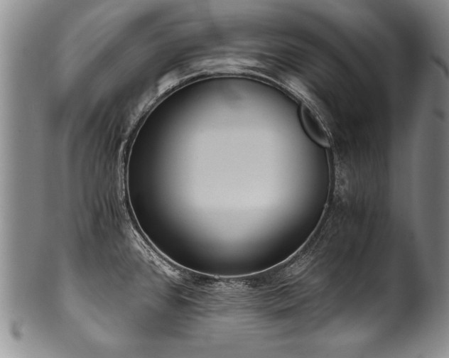 X0000101111384200806261402