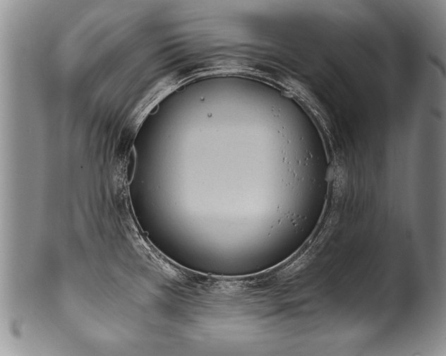X0000101111385200806261402