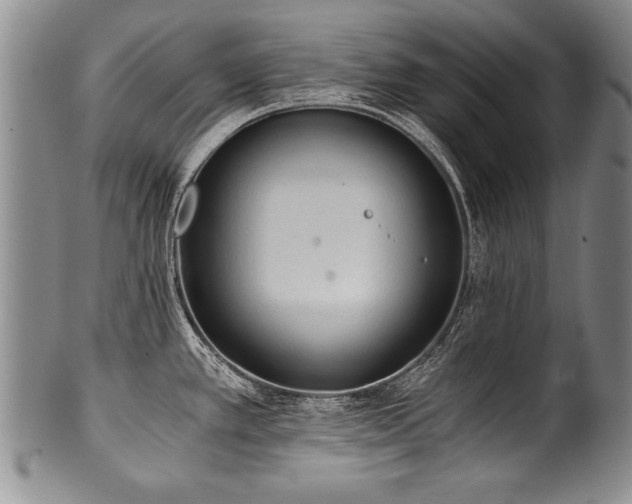 X0000101111389200806261402