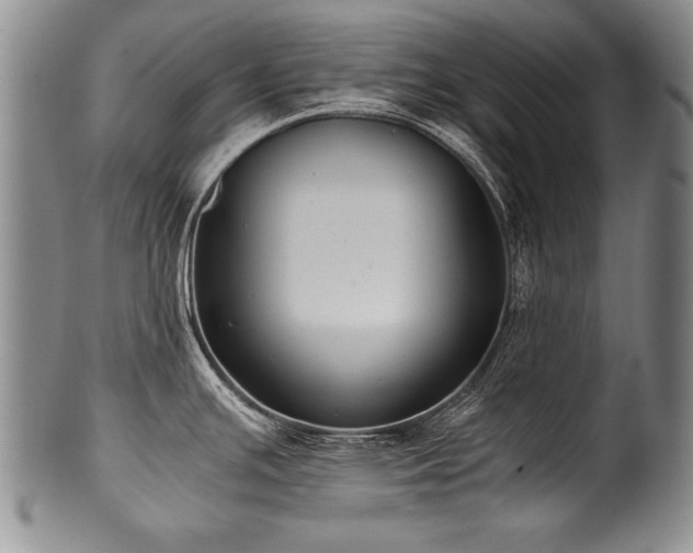 X0000101111391200806261402