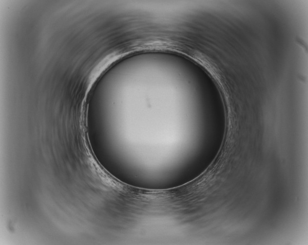 X0000101111392200806261402