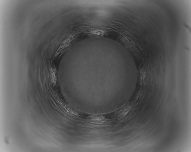 X0000101111394200806261401