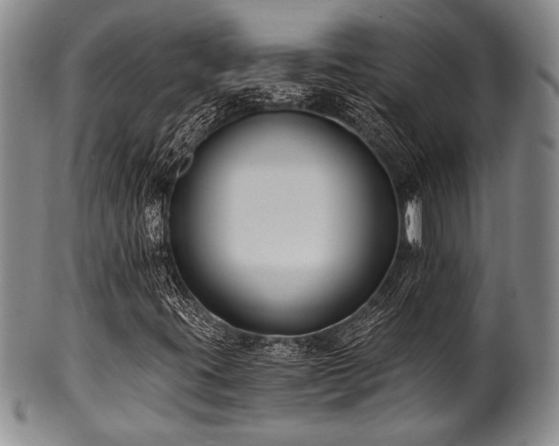 X0000101111395200806261401