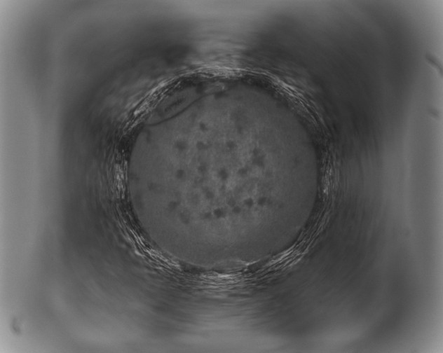 X0000101111397200806261401