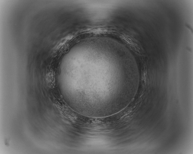 X0000101111398200806261401