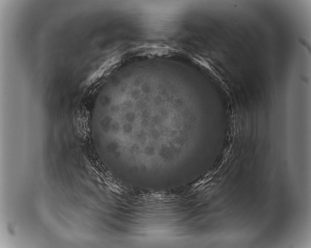 X0000101111399200806261401