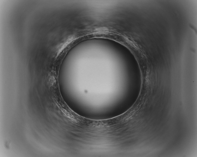 X0000101111400200806261401