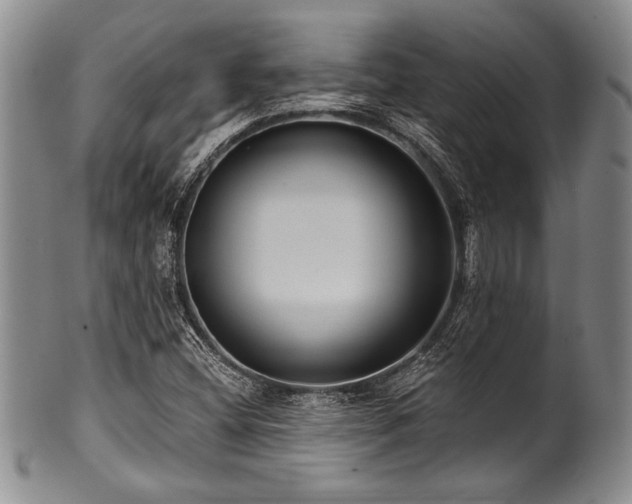 X0000101111404200806261401