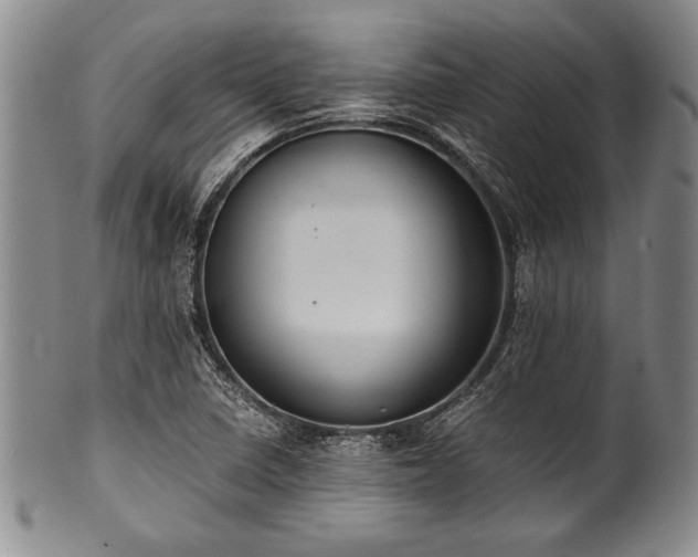 X0000101111410200806261402