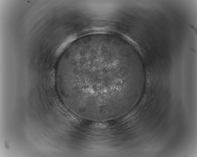 X0000101111411200806261402
