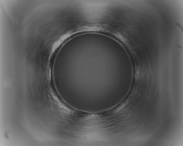 X0000101111414200806261402