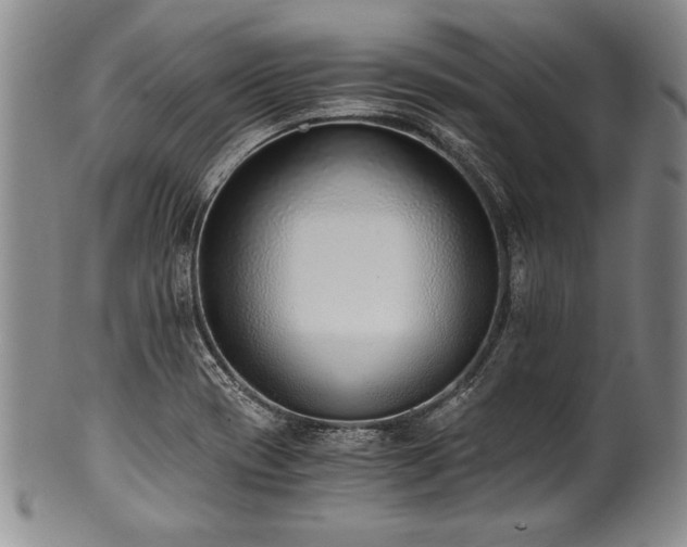 X0000101111417200806261402