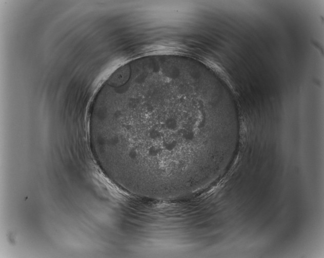 X0000101111419200806261402
