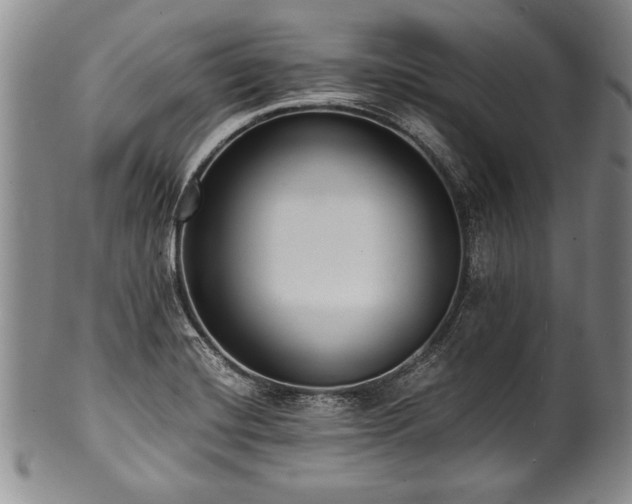 X0000101111420200806261402