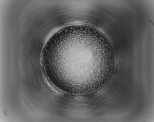X0000101111421200806261402