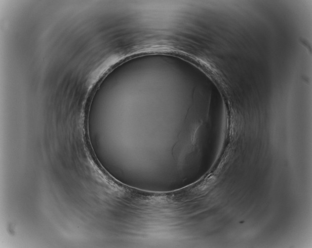 X0000101111422200806261402