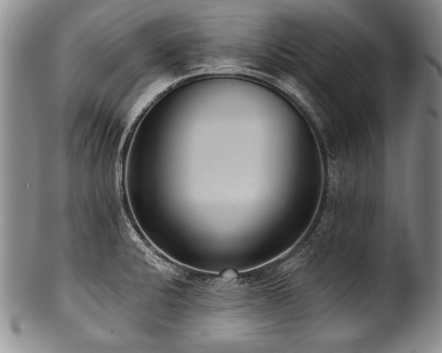 X0000101111424200806261402