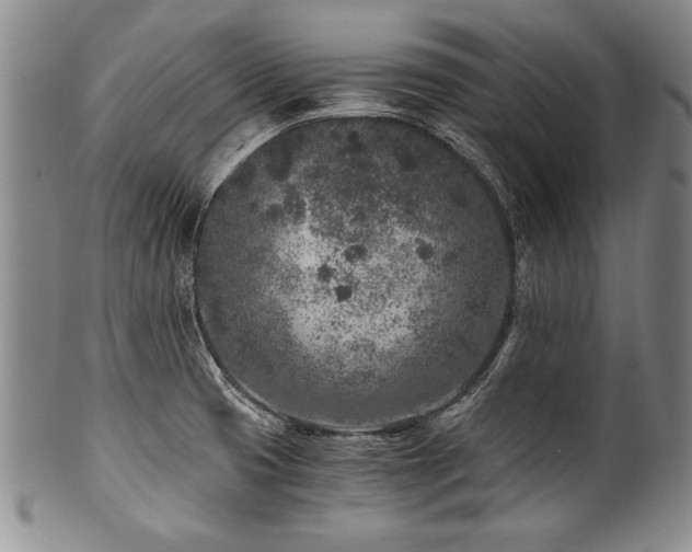 X0000101111425200806261402