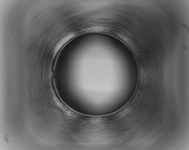 X0000101111426200806261402