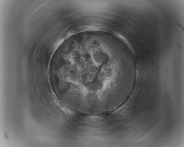 X0000101111427200806261402