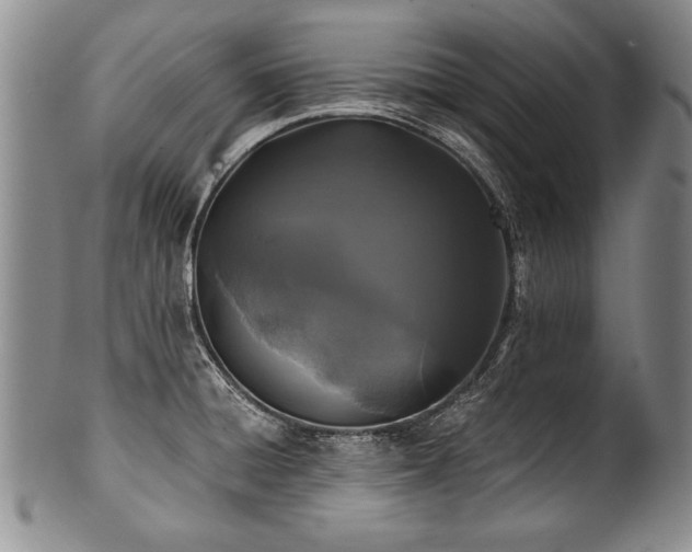 X0000101111428200806261402