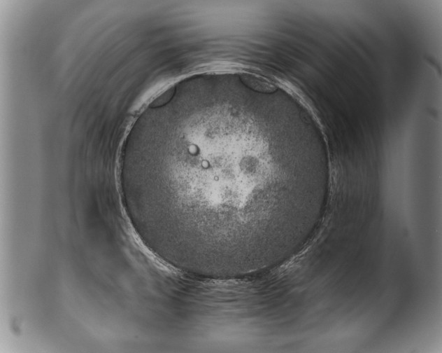 X0000101111429200806261402