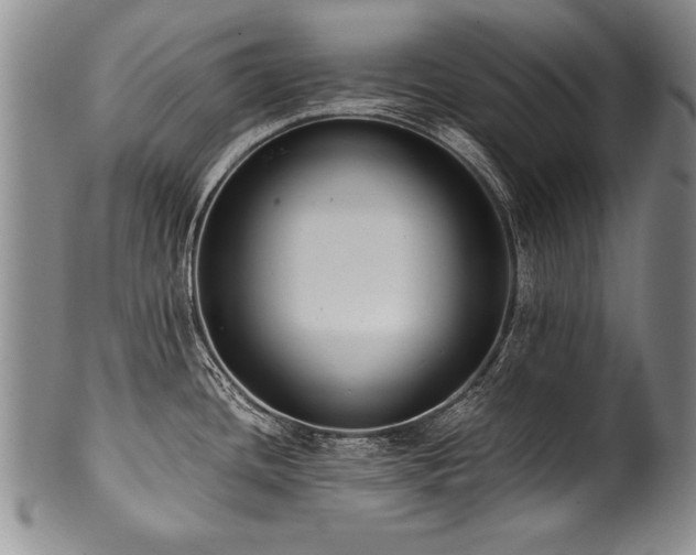 X0000101111436200806261402