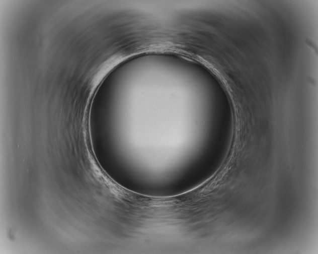 X0000101111440200806261402