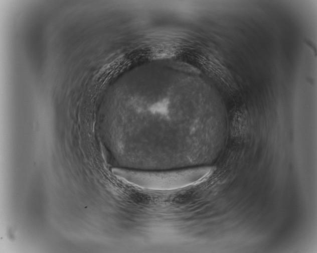 X0000101111441200806261401