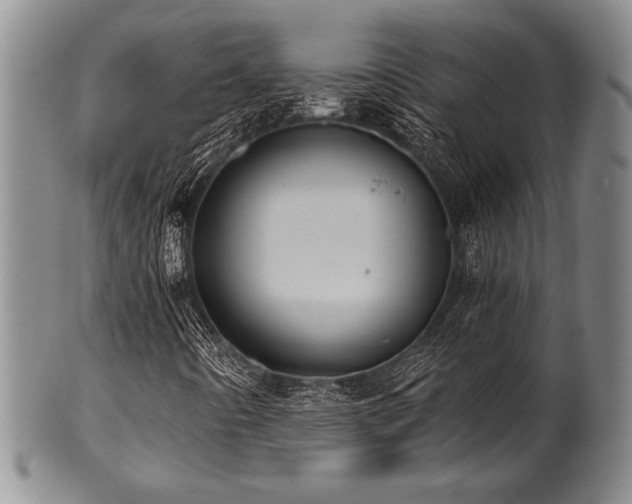 X0000101111442200806261401