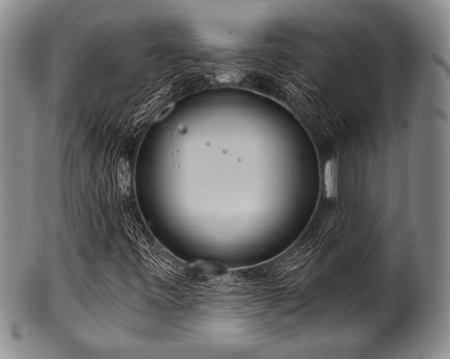 X0000101111443200806261401