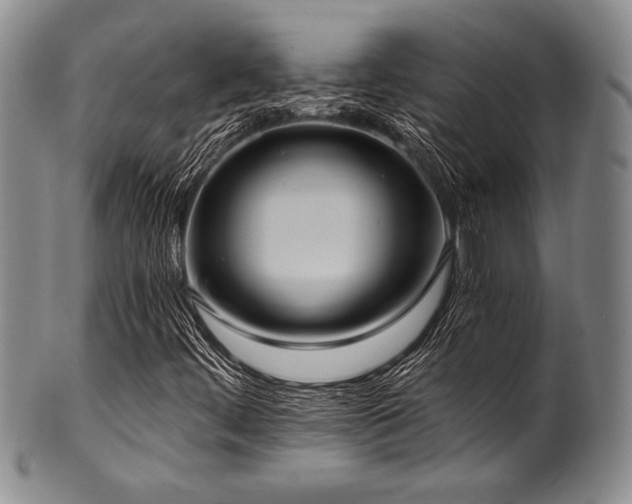 X0000101111444200806261401