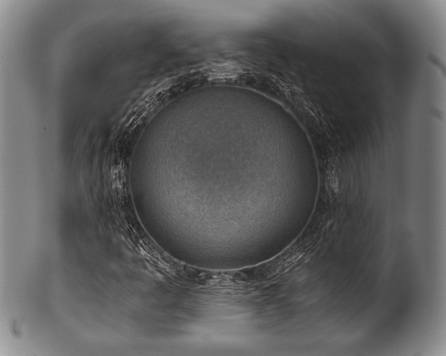 X0000101111445200806261401